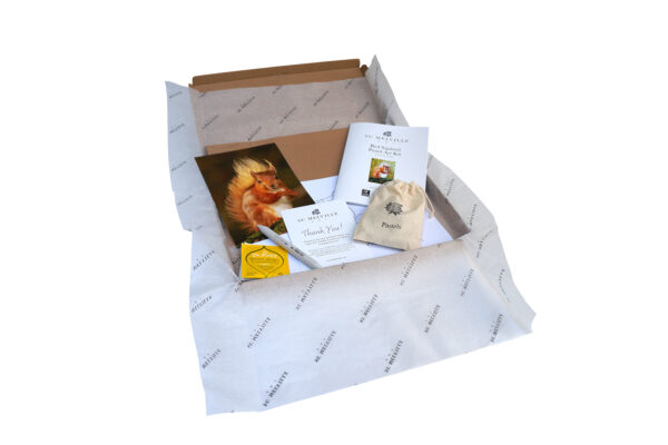 Red Squirrel Pastel Art Kit - Image 2