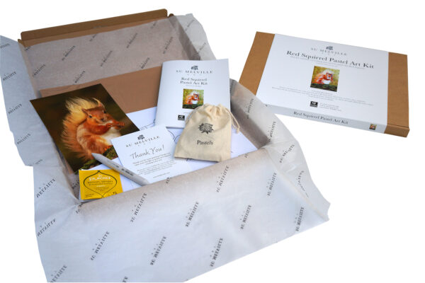 Red Squirrel Pastel Art Kit - Image 3