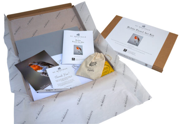 Robin Pastel Art Kit - Image 3