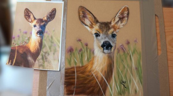 Roe Deer Pastel Art Kit - Image 2