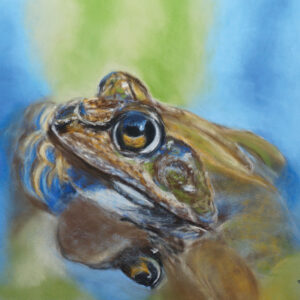 Frog Pastel Tutorial