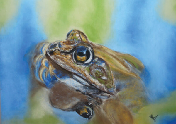 Frog Pastel Tutorial