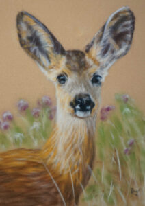 Roe Deer Art Kit