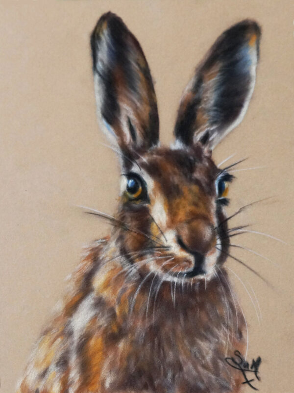 Hare Pastel Tutorial
