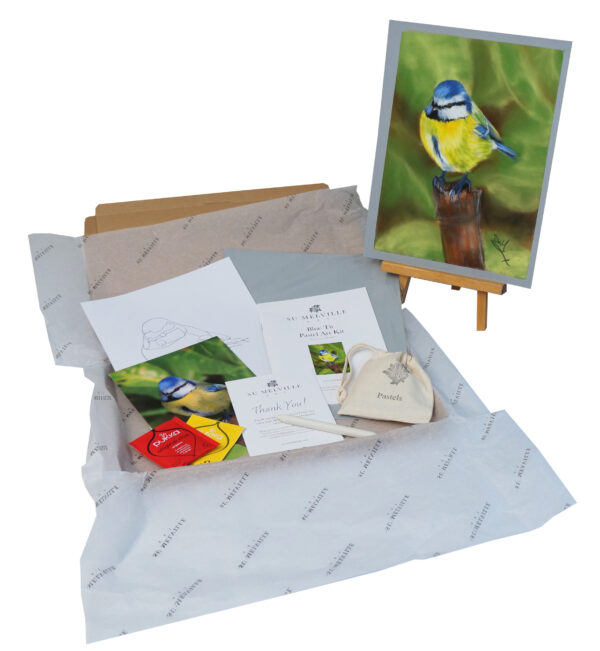 Blue Tit Pastel Art Kit - Image 3
