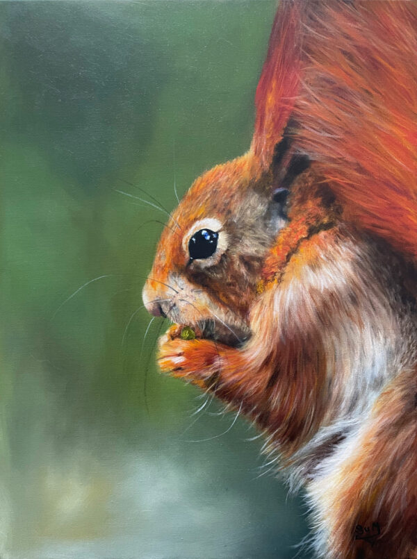 Red Squirrel Oil Painting