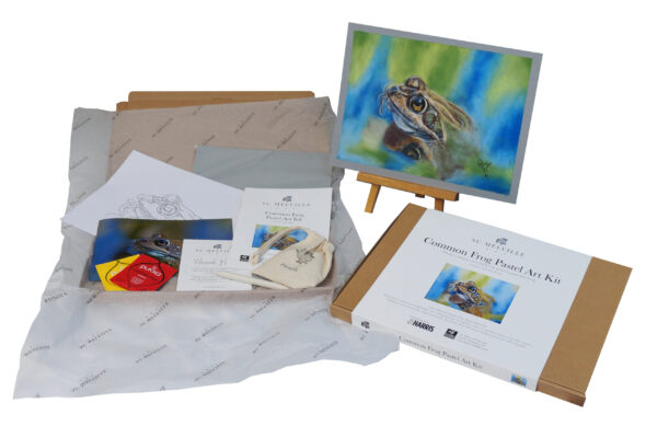 Common Frog Pastel Art Kit - Image 2