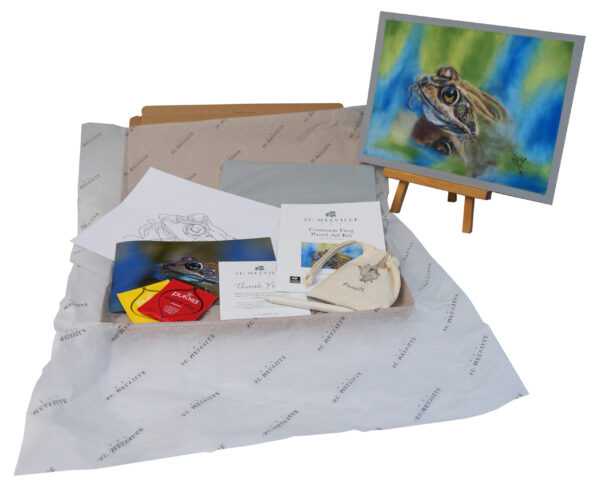 Common Frog Pastel Art Kit - Image 3